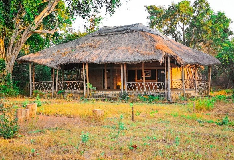 酒店 Selous Butembo Tented Lodge Lotus