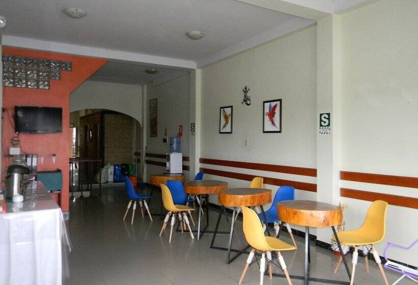 بنسيون Amazon Dream Hostel