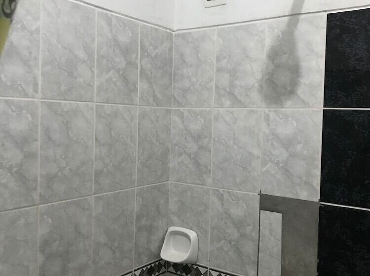 بنسيون Amazon Dream Hostel