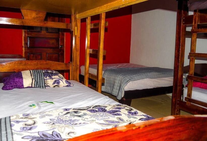 Villa Hostel