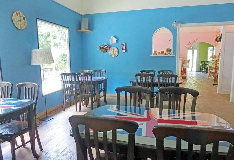 تختخواب و صبحانه Springcreek Hostel