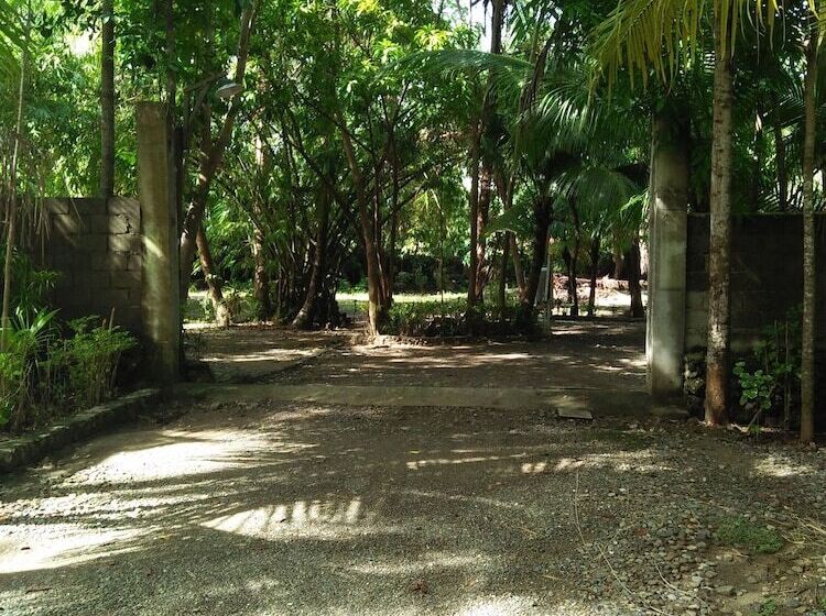 فندق Coco Paradise Beach Resort