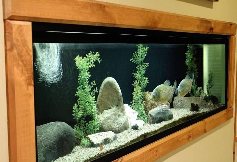 فندق Northern Greens Resort