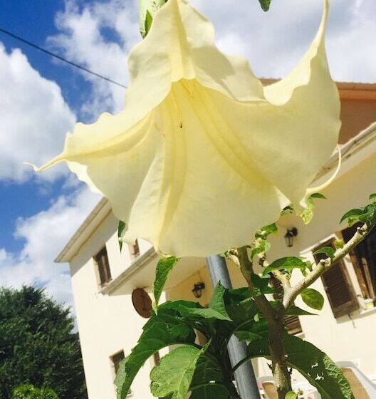 Guest House Ilektra