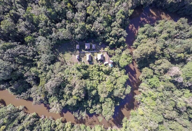 فندق Green Forest Ecolodge