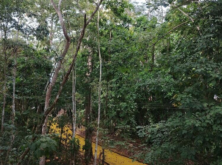 فندق Selva Color Forest & Beach Ecolodge