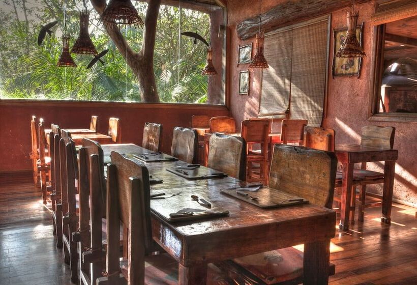 فندق Yacutinga Lodge