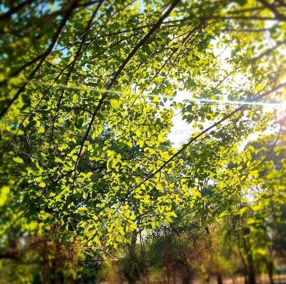 پانسیون Posada El Prado