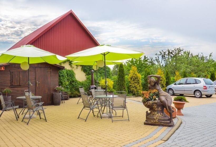 פנסיון Willa Muza