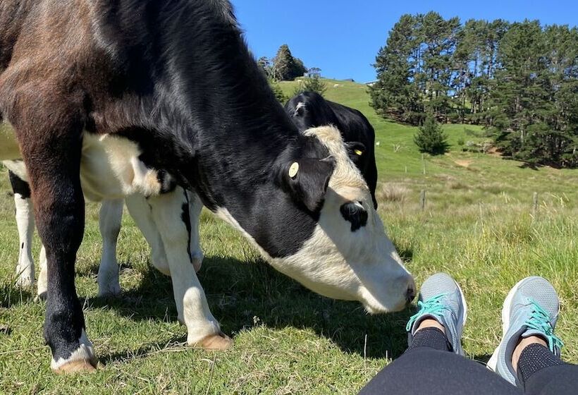 צימר Pukeatua Farmstay