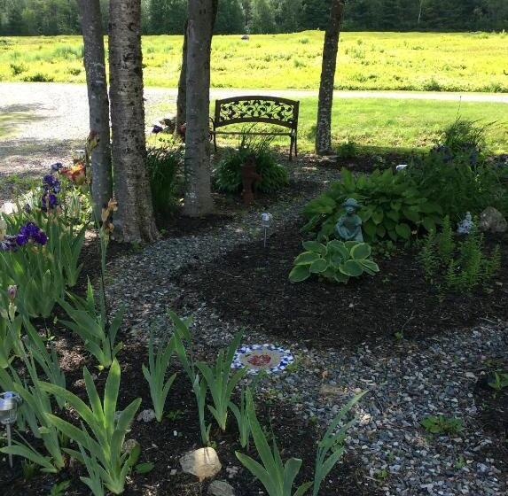 Blueberry Fields B&b