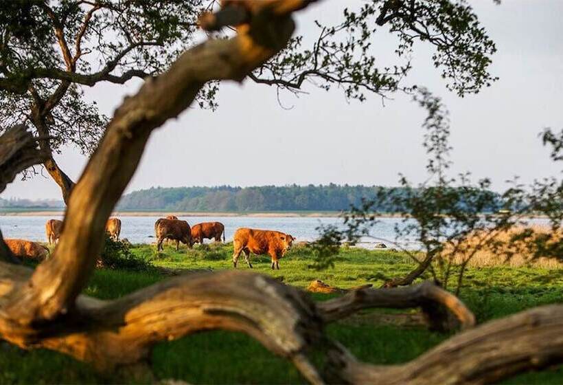 هتل Fuglsang Herregaard