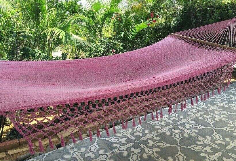 هتل Soma Surf Resort