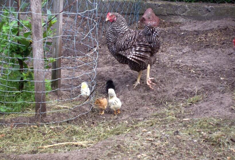 Отель Steffi S Zimmervermietung