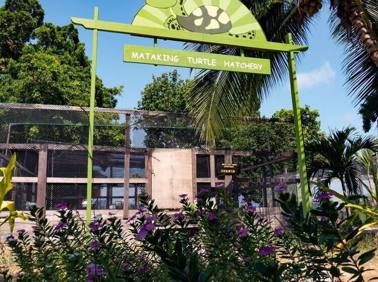 酒店 The Reef Dive Resort