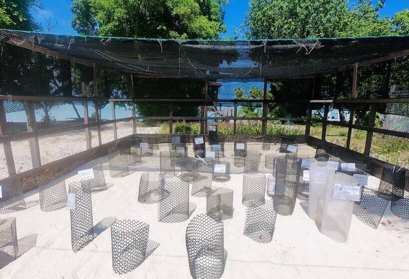 酒店 The Reef Dive Resort