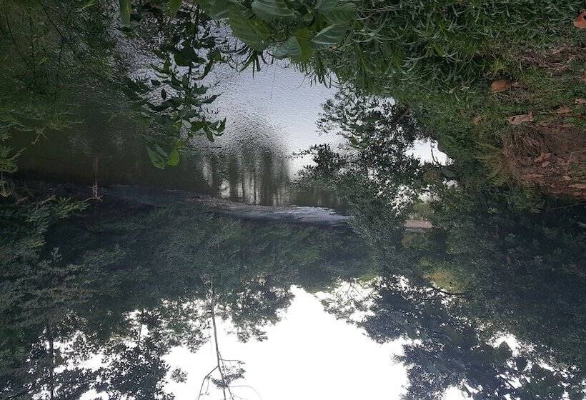 ホテル Vista Al Tortuguero