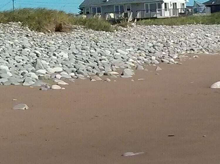 بنسيون Moonlight Beach Suites