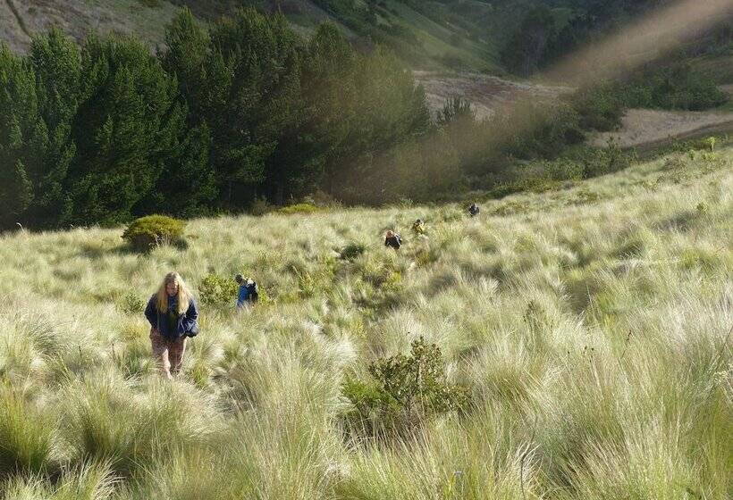 Refugio Terra Esperanza   Hostel