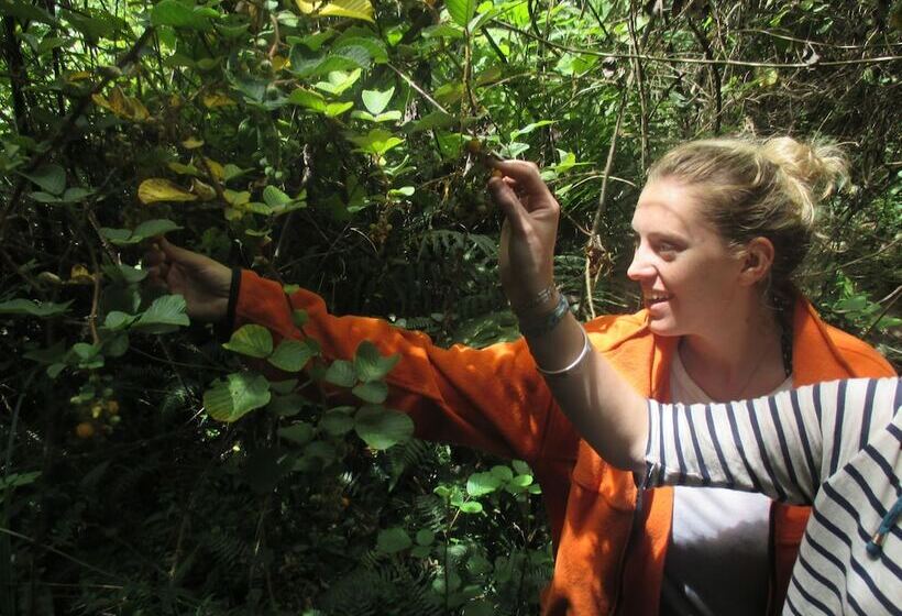 Refugio Terra Esperanza   Hostel