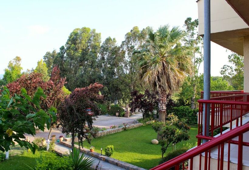 Aenaon Studios