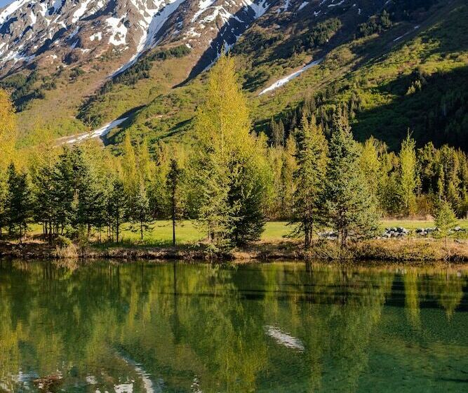 مبيت وإفطار The Inn At Tern Lake