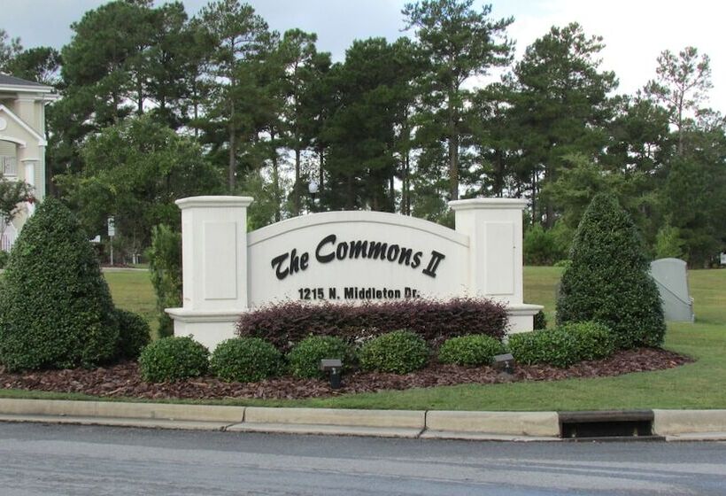 ホテル Brunswick Plantation Commons Ii 2505