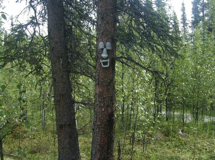 בית מלון כפרי The Perch Resort