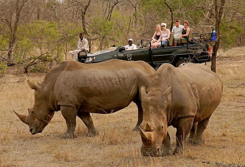 בית מלון כפרי Kingfisher Bush Camp