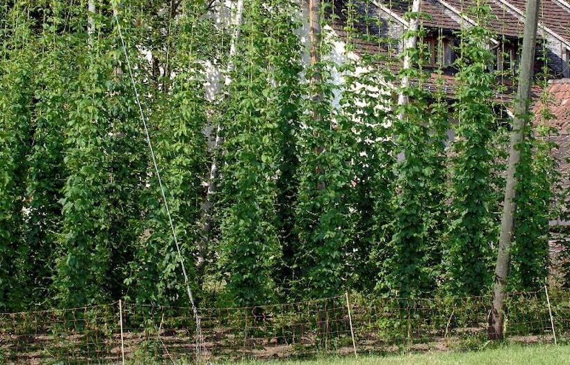 فندق Stiftung Kartause Ittingen