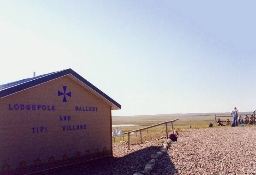 Lodgepole Gallery