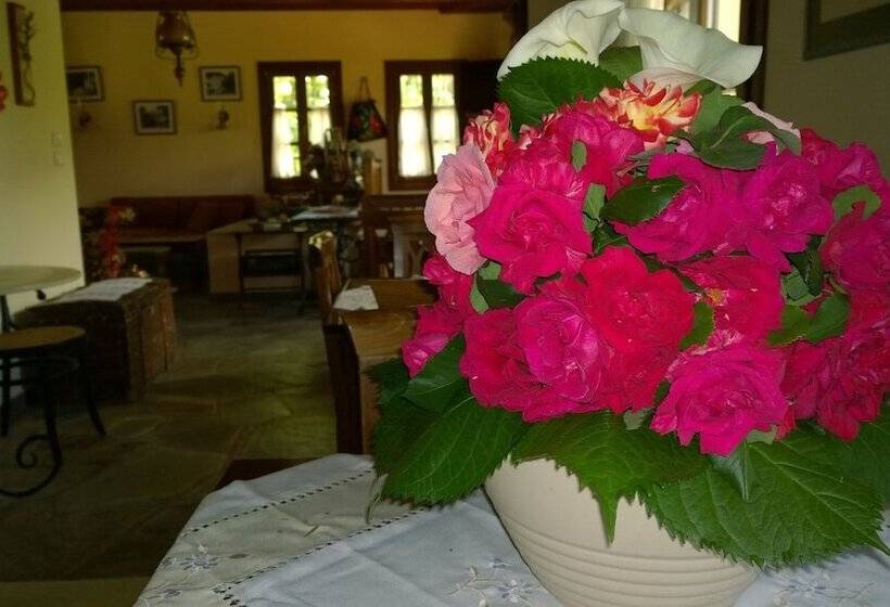 פנסיון Aleka S House