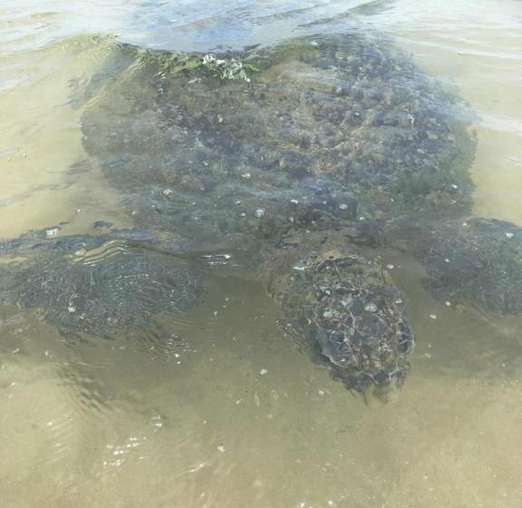 Pensão Beach Lagoon Guesthouse