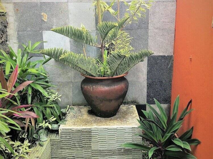 پانسیون Villa Anjing