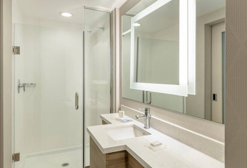 فندق Springhill Suites By Marriott San Diego Carlsbad