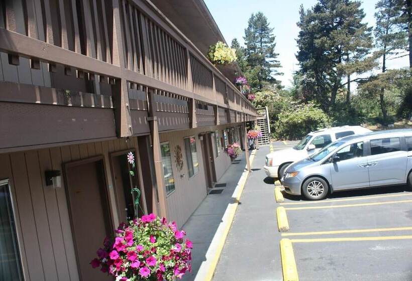 汽车旅馆  Economy Inn