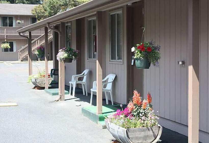 汽车旅馆  Economy Inn