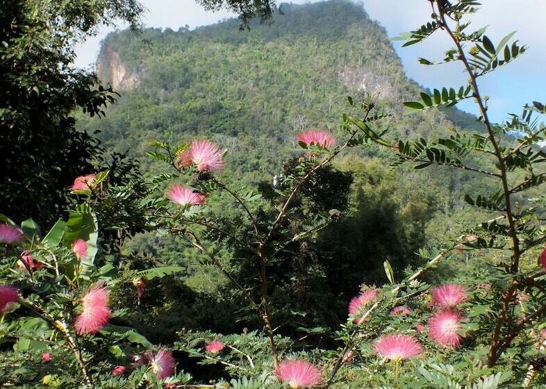 هتل Chiang Dao Roundhouses