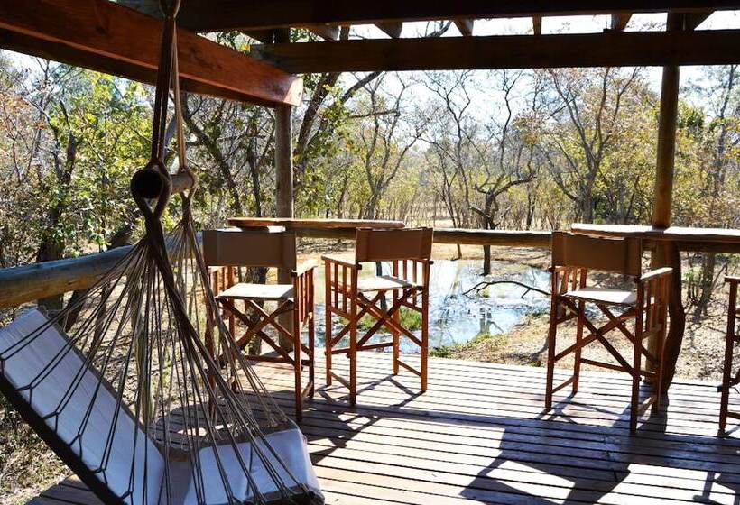 酒店 Honeyguide Ranger Camp