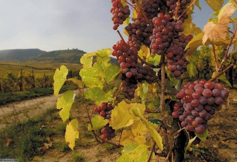 酒店 Hôtel Berceau Du Vigneron