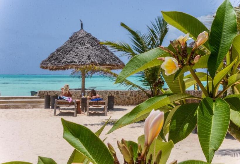 فندق Nur Beach
