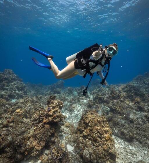 فندق Ocean Tide Beach Resort