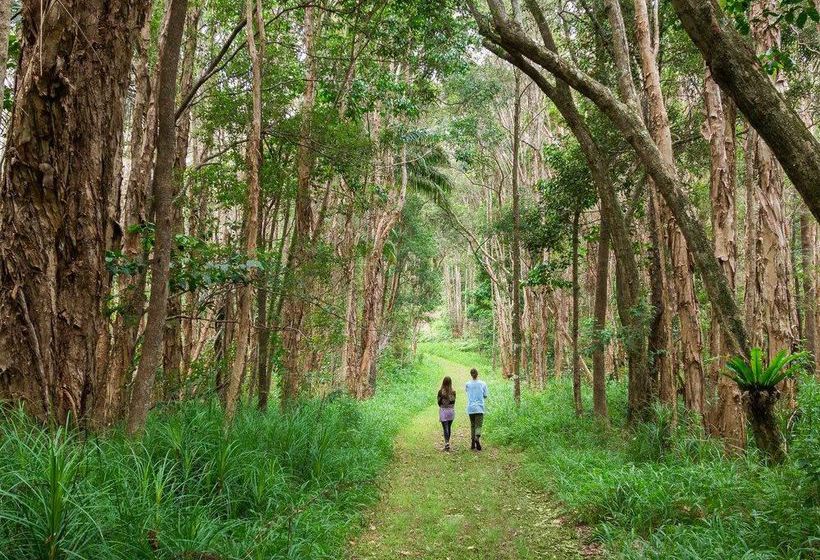 تختخواب و صبحانه Abelia House