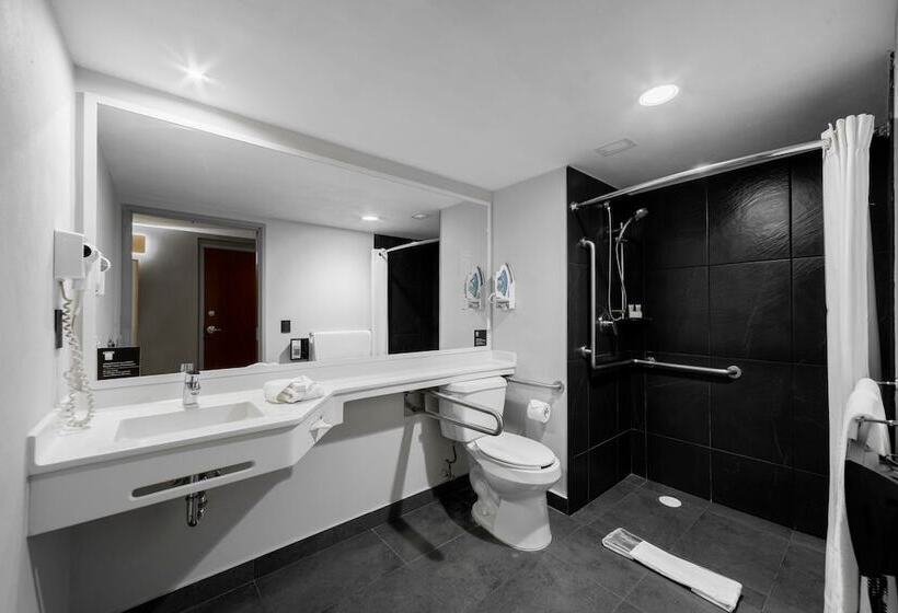 Otel City Express Plus By Marriott Guadalajara Palomar