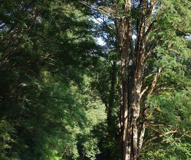 호텔 Hostellerie Les Gorges De L Aveyron