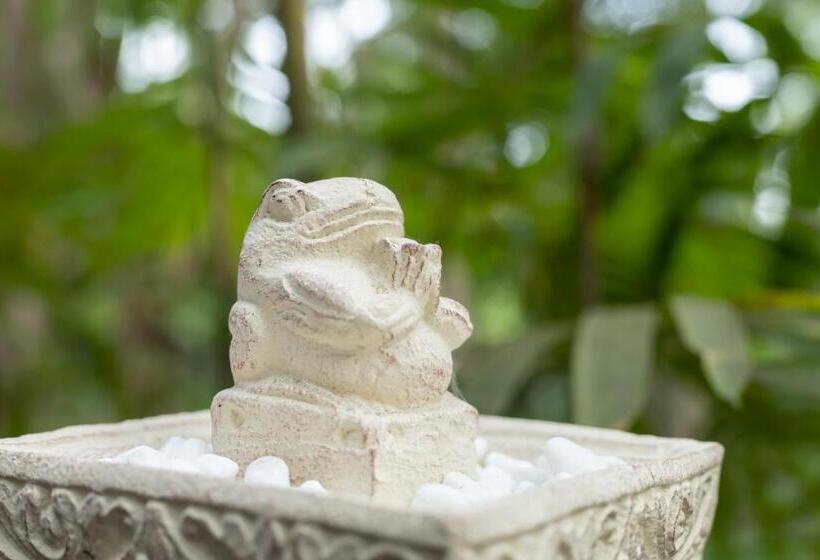 Thalassa Dive & Wellbeing Resort Manado