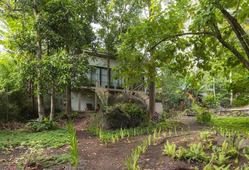 Thalassa Dive & Wellbeing Resort Manado