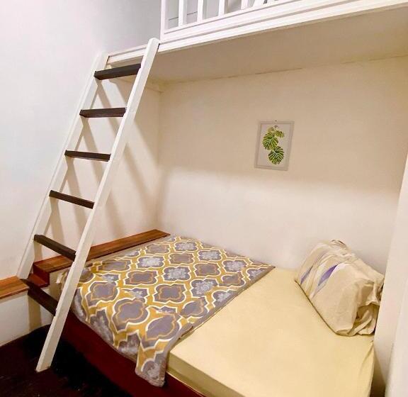 X Plorer Backpackers   Hostel