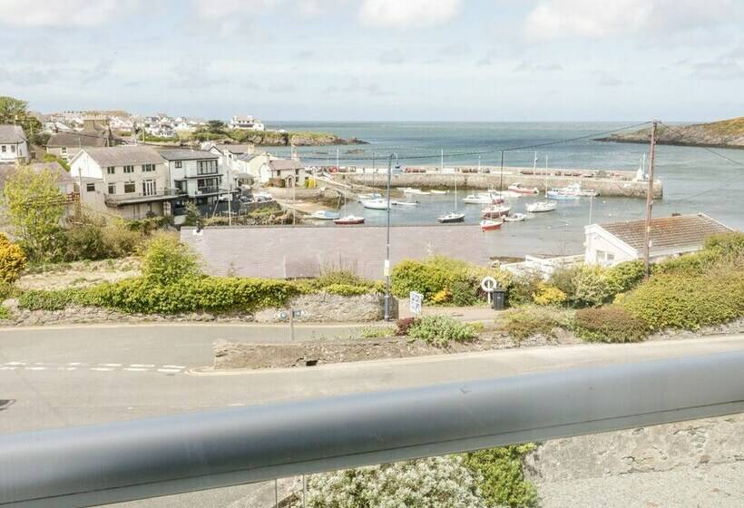 Harbour View