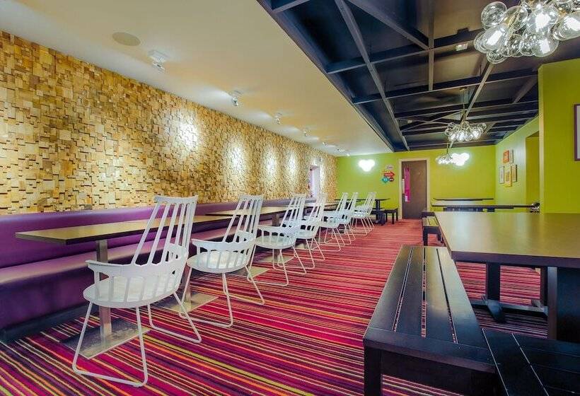 هاستل Safestay London Kensington Holland Park